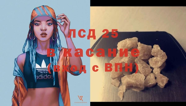 PSILOCYBIN Верхний Тагил