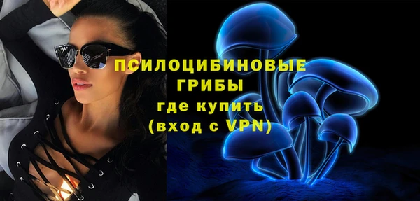 PSILOCYBIN Верхний Тагил