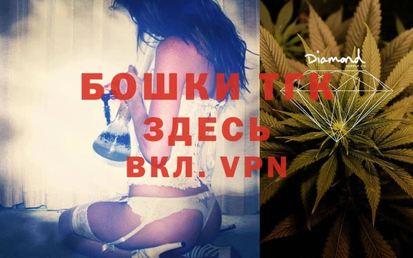 apvp Верея