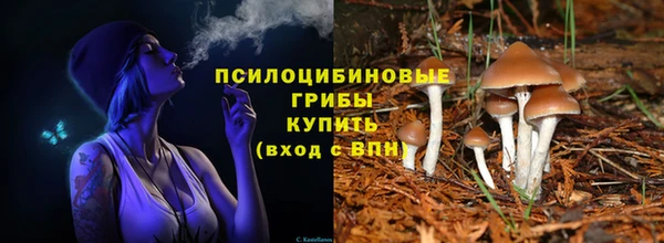 apvp Верея